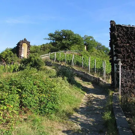 Ferienhaus Weyerhof, Mosel, Naehe Koblenz, Grosser Garten, Sauna, Fahrraeder Hébergement de vacances Kobern-Gondorf